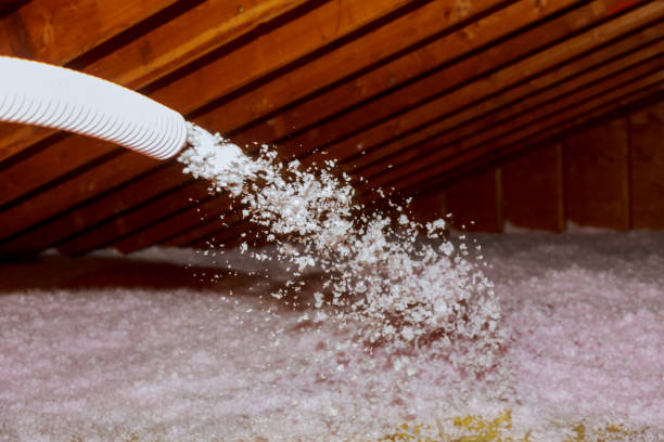 Trusted Hornell, NY Insulation Contractor Experts