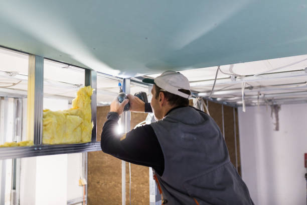 Best Insulation for New Construction  in Hornell, NY