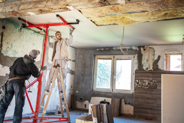 Best Local Insulation Services  in Hornell, NY