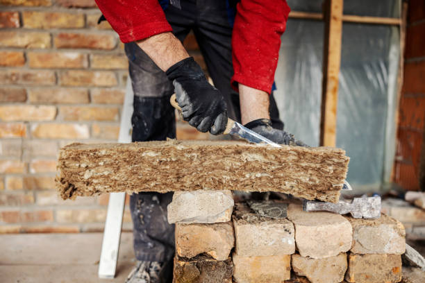Best Cellulose Insulation  in Hornell, NY