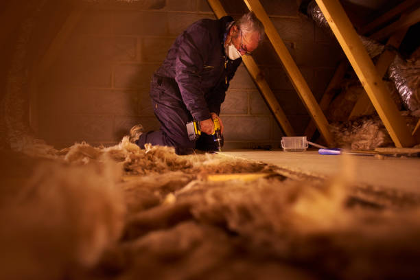 Best Home Insulation Services  in Hornell, NY